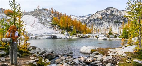 Elevation of Eightmile Campground, Icicle Creek Rd, Leavenworth, WA ...