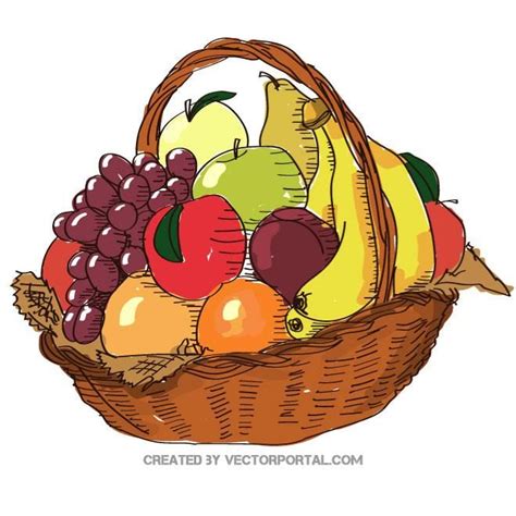 fruit basket illustration