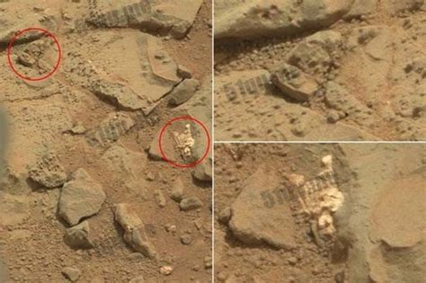 火星上的狮身人面像之谜,火星又一处古文明痕迹(奇特构造) - 未解之谜网