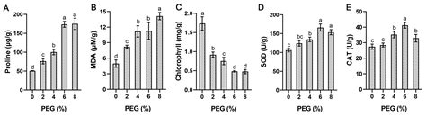 Evolutionary Analysis of StSnRK2 Family Genes and Their Overexpression ...