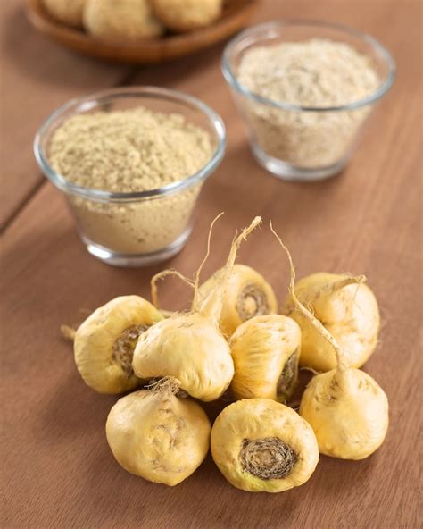 Image result for MACA