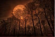 Spooky Fall Computer Backgrounds by Nature Forest Trees Moon Monochrome Spooky Wallpapers Spooky Fall Computer Backgrounds