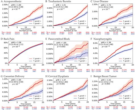 Health Outcomes Associated with Asymptomatic Toxoplasma gondii ...