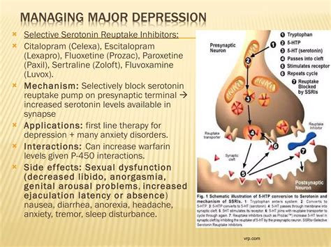 Antidepressants & side effects + serotonin syndrome vs | PPT