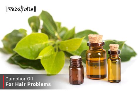 Camphor Essential Oil For Hair Growth - Benefits & How To Use – VedaOils
