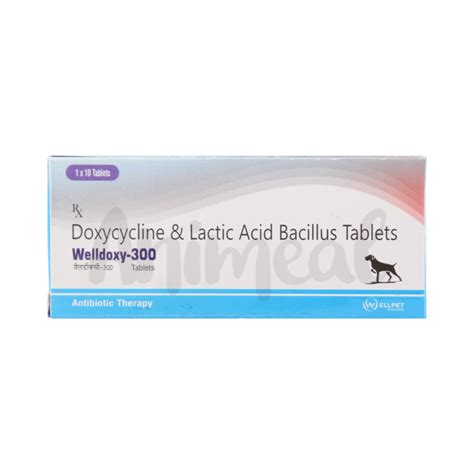 WELLDOXY-300MG TABLET – Surya Vets