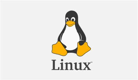 中国哪个linux好用吗(国内最好用的linux) - 操作系统 - 飘云-漂泊的云，停留的心！