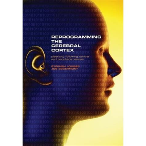 Pre-Owned Reprogramming the Cerebral Cortex: Plasticity Following Central and Peripheral Lesions ...