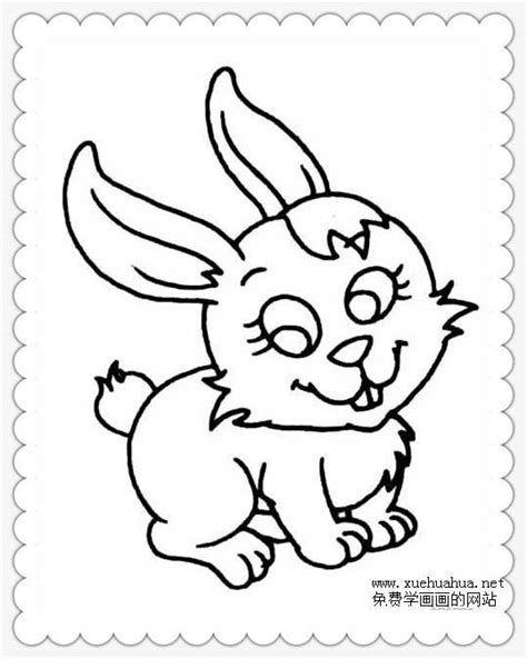 可爱的小兔子简笔画图片大全_动物简笔画