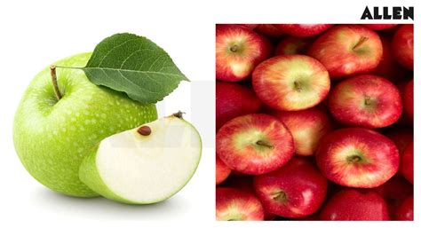 True Fruit, Classification and FAQs