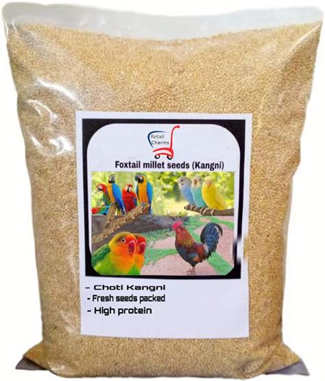 Buy Touch of life - Kangni/Thenai Seeds for Birds Food (450 Grams ...