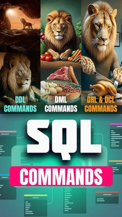 SQL Commands Tamil 的图像结果