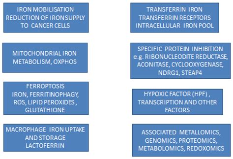 New Iron Metabolic Pathways and Chelation Targeting Strategies ...