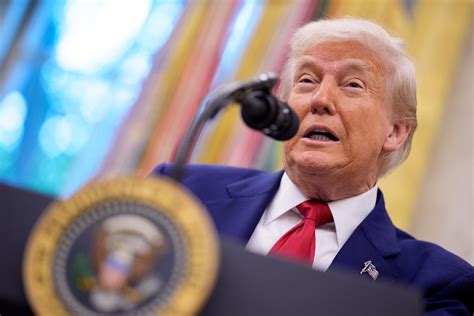 Donald Trump Blames Gavin Newsom for Deadly California Wildfires: 'All ...