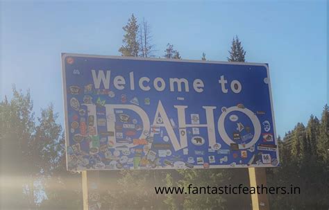 Fantastic Feathers: Top Places to Visit in Idaho, USA