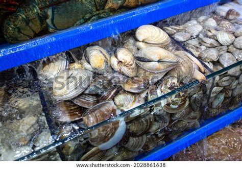 Image result for Alive Shellfish