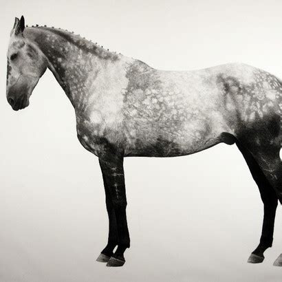 Jonathan Delafield Cook | Meer