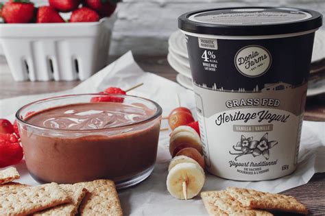 Chocolate Yogurt Fruit Dip Recipe For A Rich Taste | Donia Farms