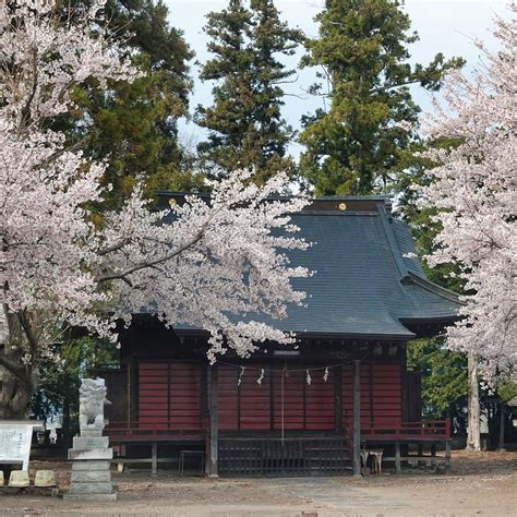 OMORI SHRINE (2025) All You Need to Know BEFORE You Go (with Photos ...