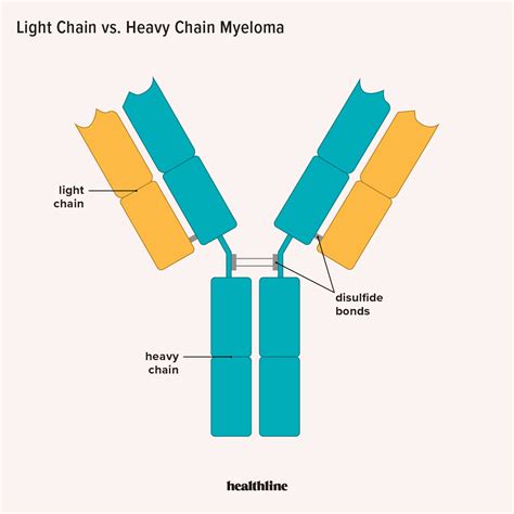 Light Chain Multiple Myeloma: Symptoms, Treatment, and More