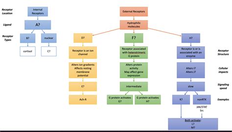Cell Communication Concept Map 的图像结果