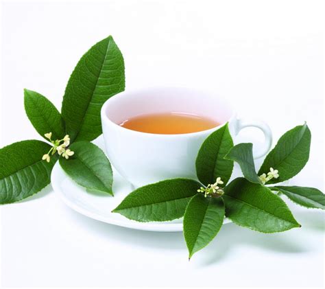 乌龙茶有哪些种类？_绿茶 - 「茶文化知识网」