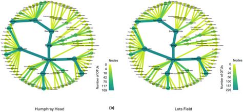Soil Studies for Fungal Diversity to Enable the Conservation ...