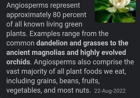 angiosperm include it - Brainly.in