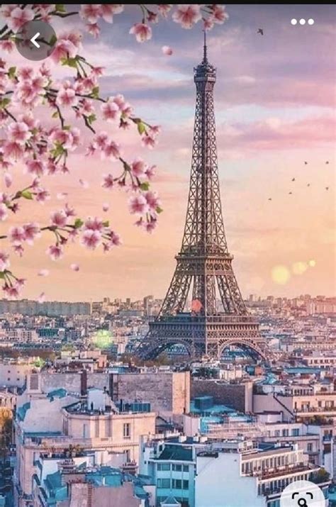 Paris 的图像结果