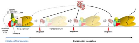 Viruses | Special Issue : Retroviral Enzymes