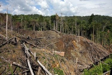 Image result for Logging and Debug in Python