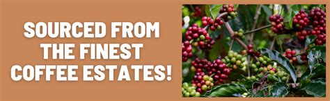 Toffee Coffee Roasters | Easy & Hot Brew Pour Over Coffee | Free Enamel ...