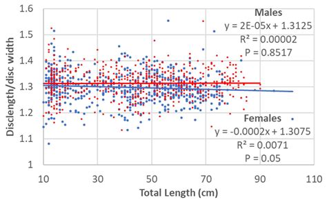 An Ecomorphological Description of Amblyraja radiata (Rajiformes ...