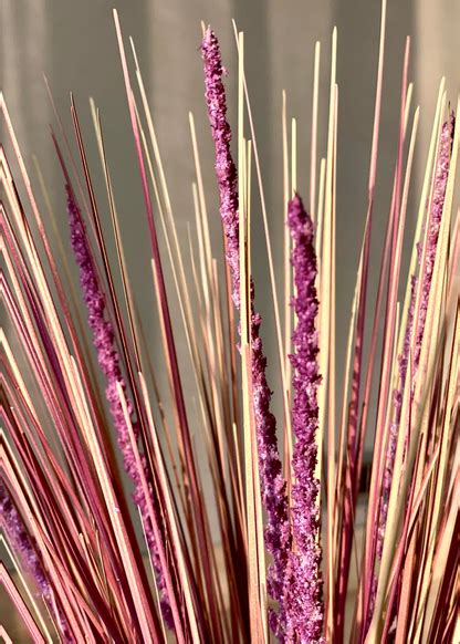 Artificial Purple Pampas Bunch - 2 Feet – Mason Home