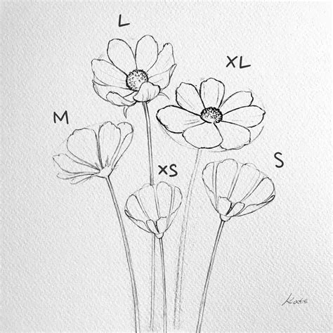 Beginner Easy Flower Drawings In Pencil | Best Flower Site