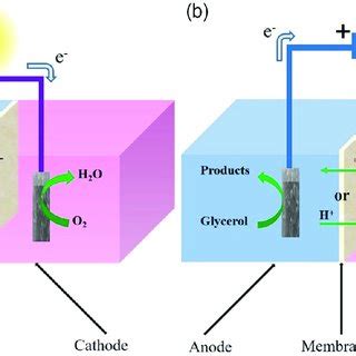Image result for AO2 O2 Cell Uses