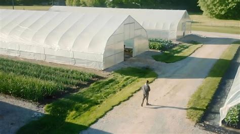 Why Buy Local 的图像结果