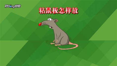 老鼠怎么灭，家里面有老鼠怎么赶走-农百科