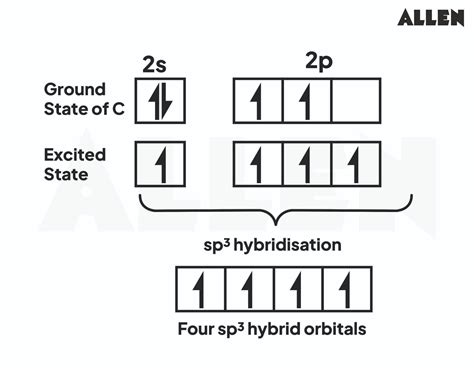 Sp Hybridization Carbon