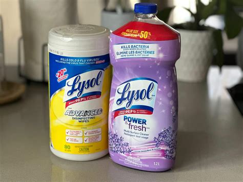 Does Lysol Kill Fleas? Vet Reviewed Safety & Effectiveness | Hepper Pet ...