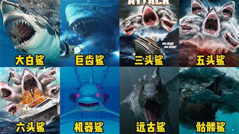 深海霸主大鲨鱼系列电影推荐 - 每日头条