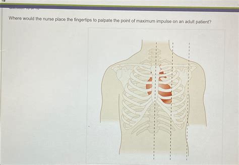 Solved Where would the nurse place the fingertips to palpate | Chegg.com