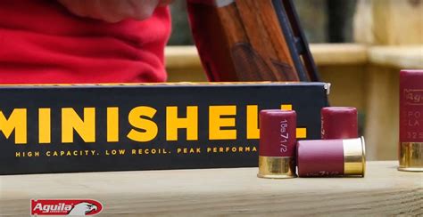 KSG Mini Shells 的图像结果