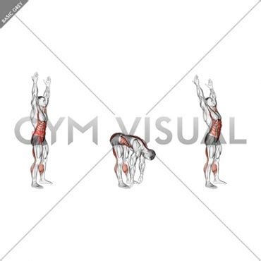 Image result for Basic Toe Touch Workout