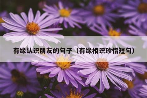 有缘认识朋友的句子（有缘相识珍惜短句）_名人名言_喜文网-汇集经典美文美句大全