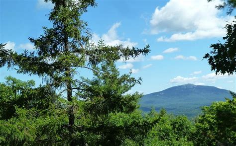 RHODODENDRON STATE PARK (2026) All You Need to Know BEFORE You Go (with ...