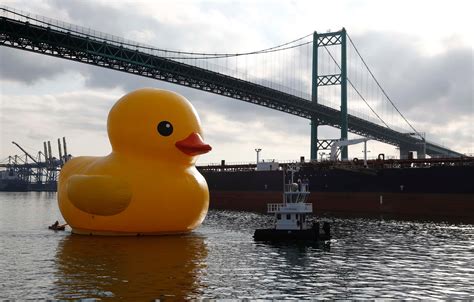 World's Biggest Rubber Duck Collection at Alyssa Coode blog