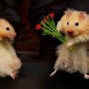 Image result for Animals Holding Flowers
