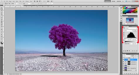 Image result for Infrared Photography Tutorial