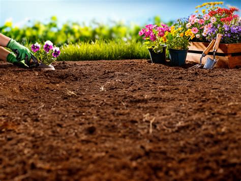 How to Create a Sustainable Eco Garden: Check 10 Unique Ideas – TrustBasket